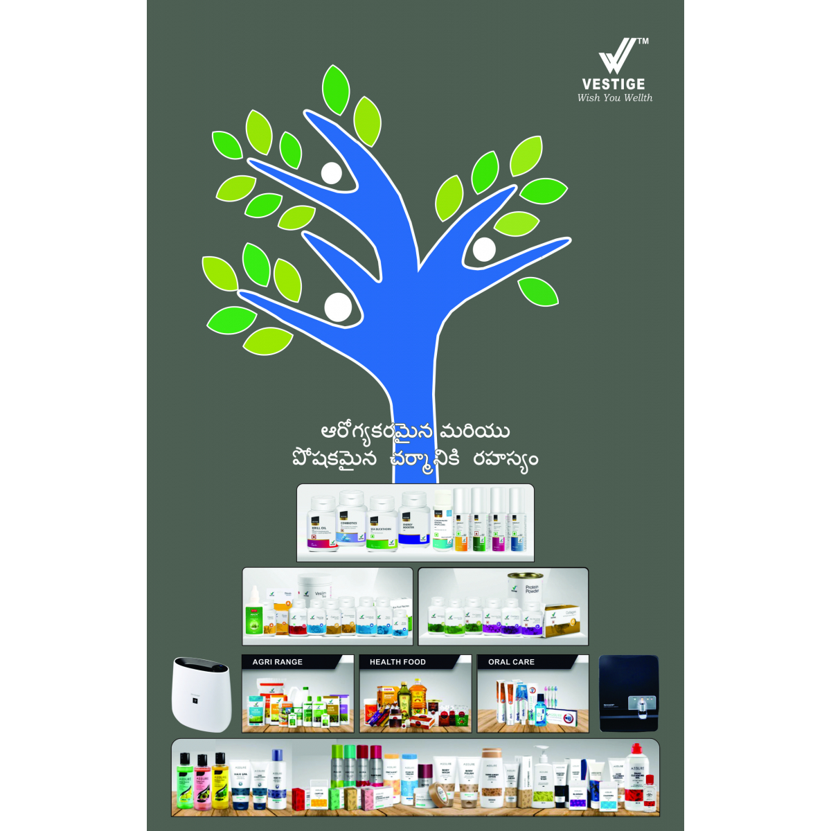 Product Brochure - Telugu